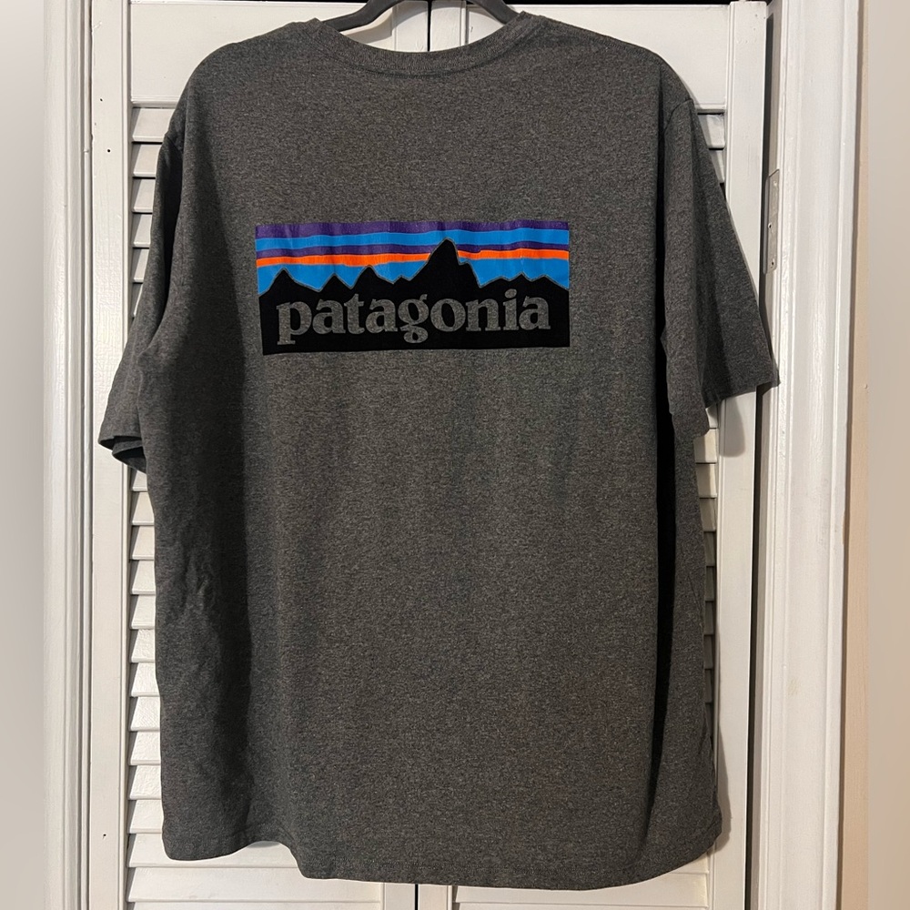 Patagonia Gray Tee with Blue and Orange Accents